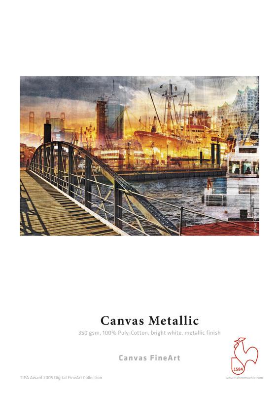 RS2299_33-Canvas Metallic-scr